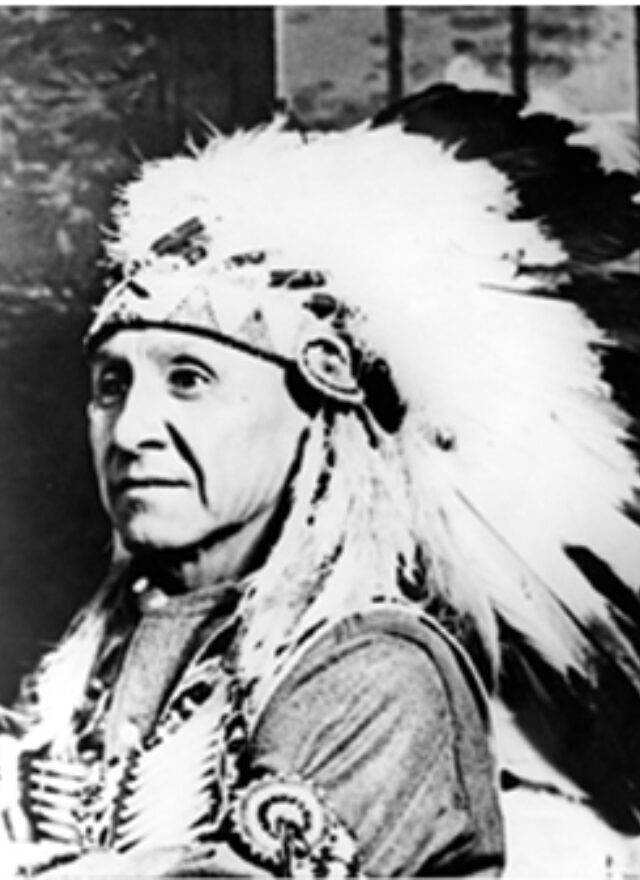 Chief Red Wing